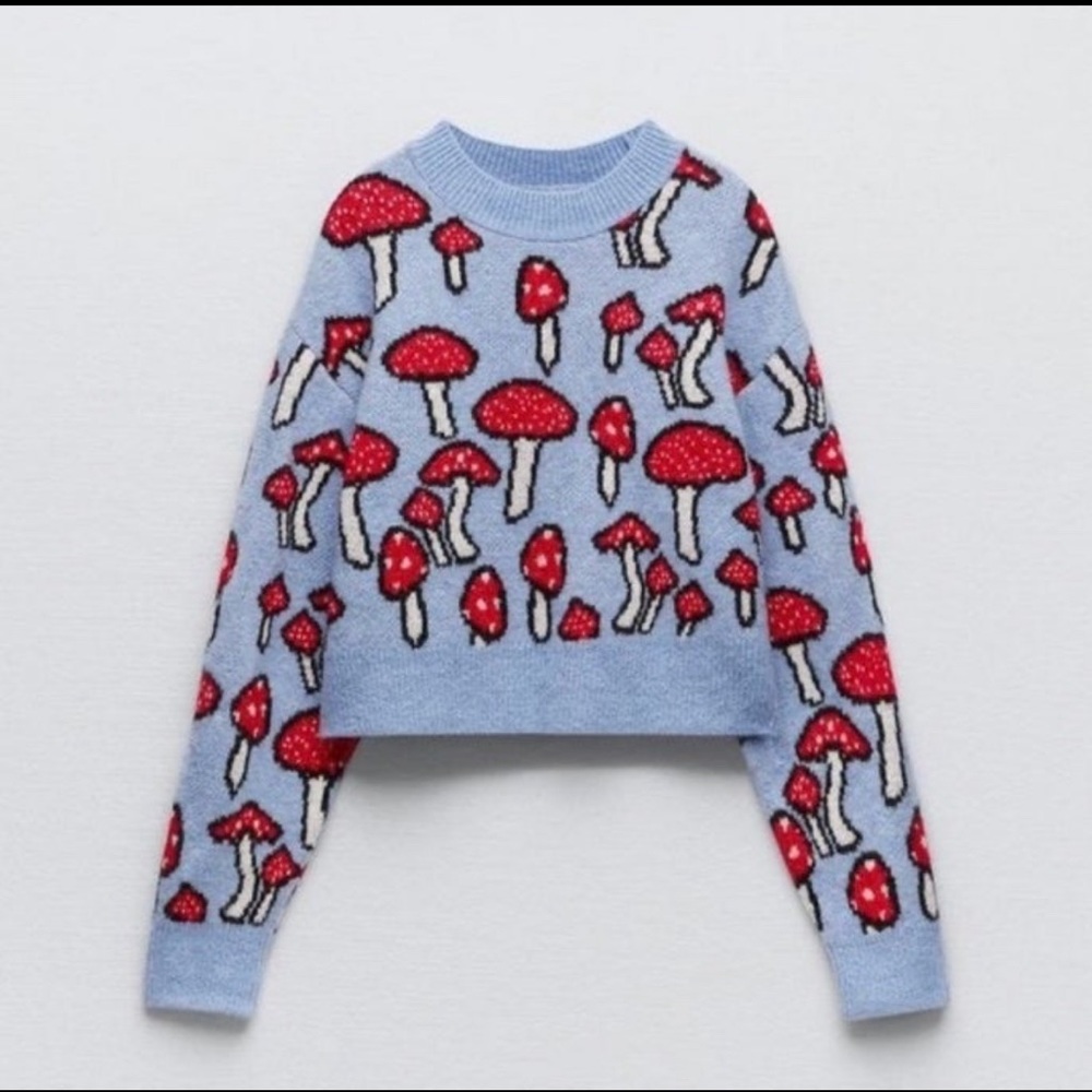 ZARA blue mushroom sweater. Size M